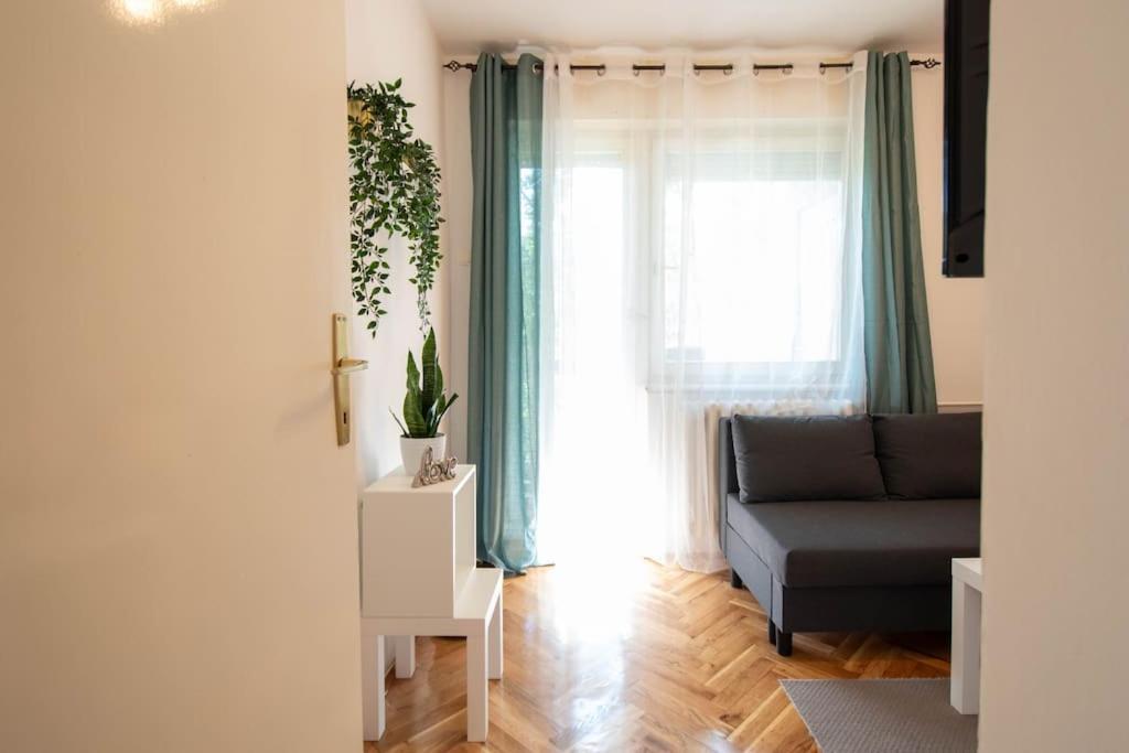 Boulevard 1-bedroom Flat * Novi Sad